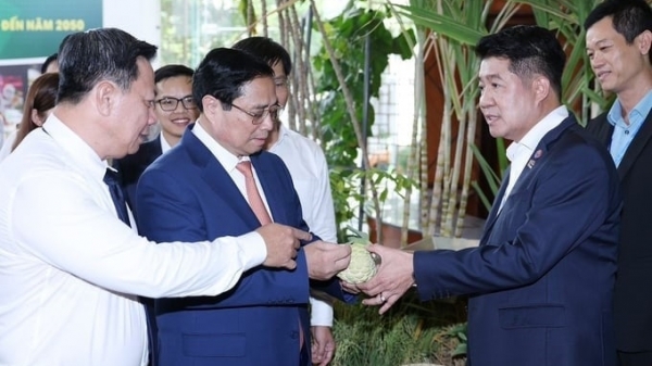 DHN joint venture with green economic model in agriculture in Tay Ninh